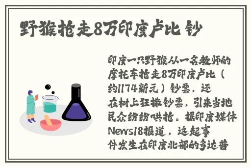 红柚平台